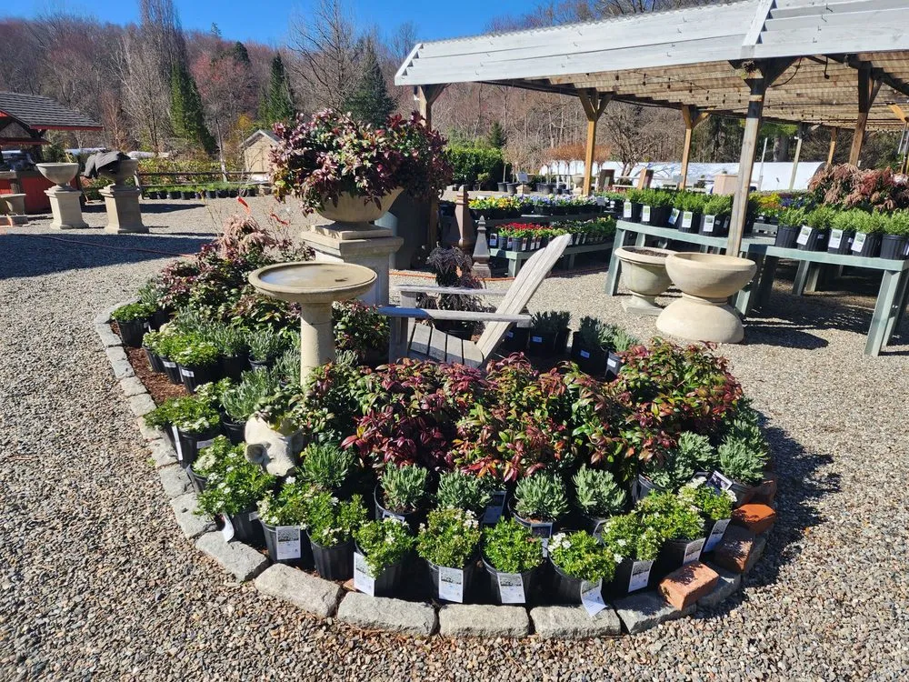 Expert landscaping services for year-round maintenance in Bedford, NY by Troys Garden Nurseries