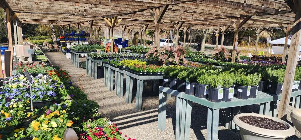 Professional landscaping services in Bedford, NY - Troys Garden Nurseries