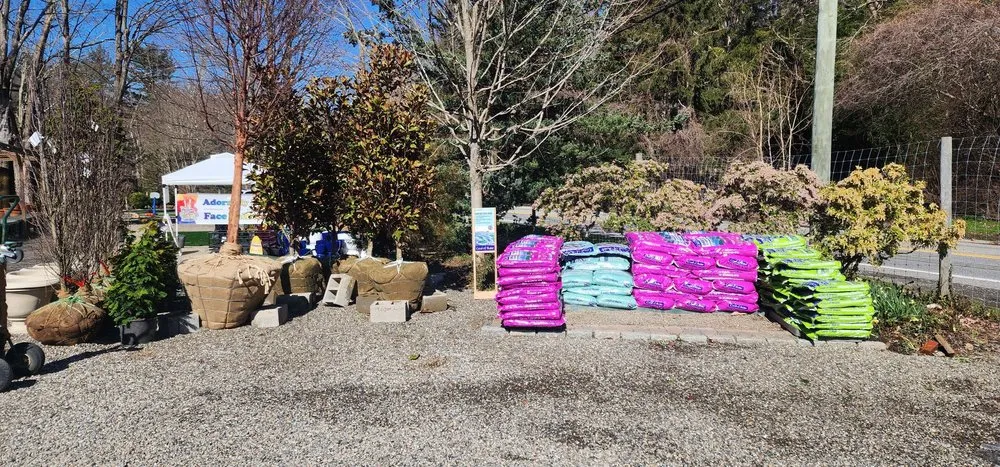 Expert lawn mowing service experts serving Bedford, NY - Troys Garden Nurseries