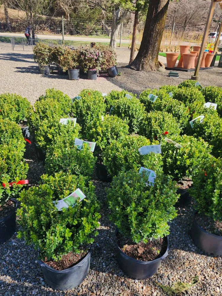 Trusted residential landscaping experts serving Bedford, NY - Troys Garden Nurseries