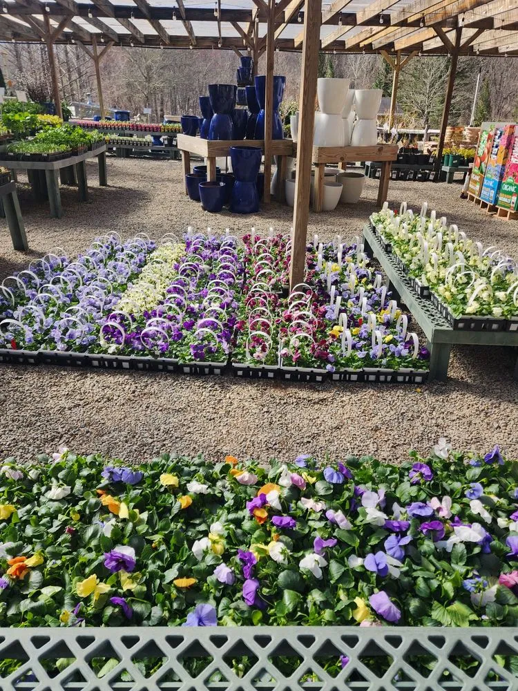 Professional yard maintenance experts serving Bedford, NY - Troys Garden Nurseries