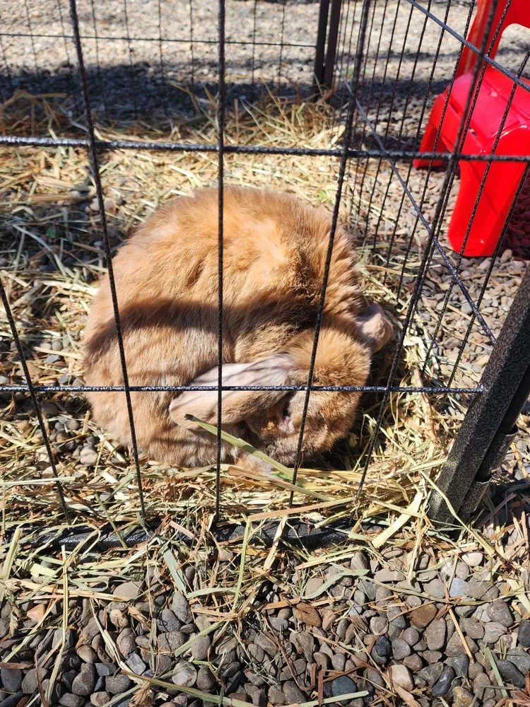 Reliable lawn care service experts serving Bedford, NY - Troys Garden Nurseries