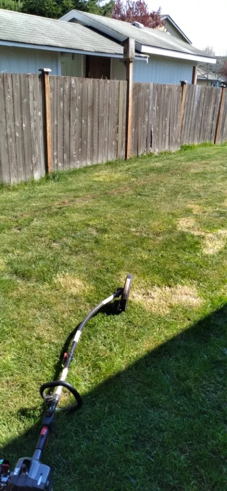 Custom yard cleanup service in Spanaway, WA - Troys Lawn & Maintence