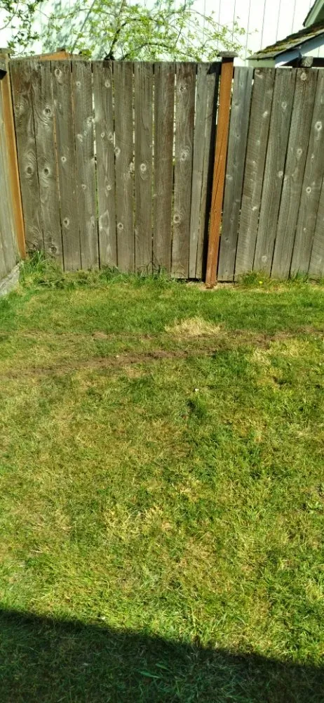 Reliable yard maintenance in Spanaway, WA - Troys Lawn & Maintence