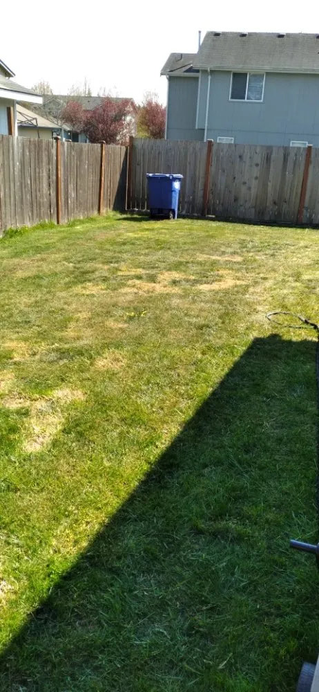 Professional lawn care service in Spanaway, WA by Troys Lawn & Maintence