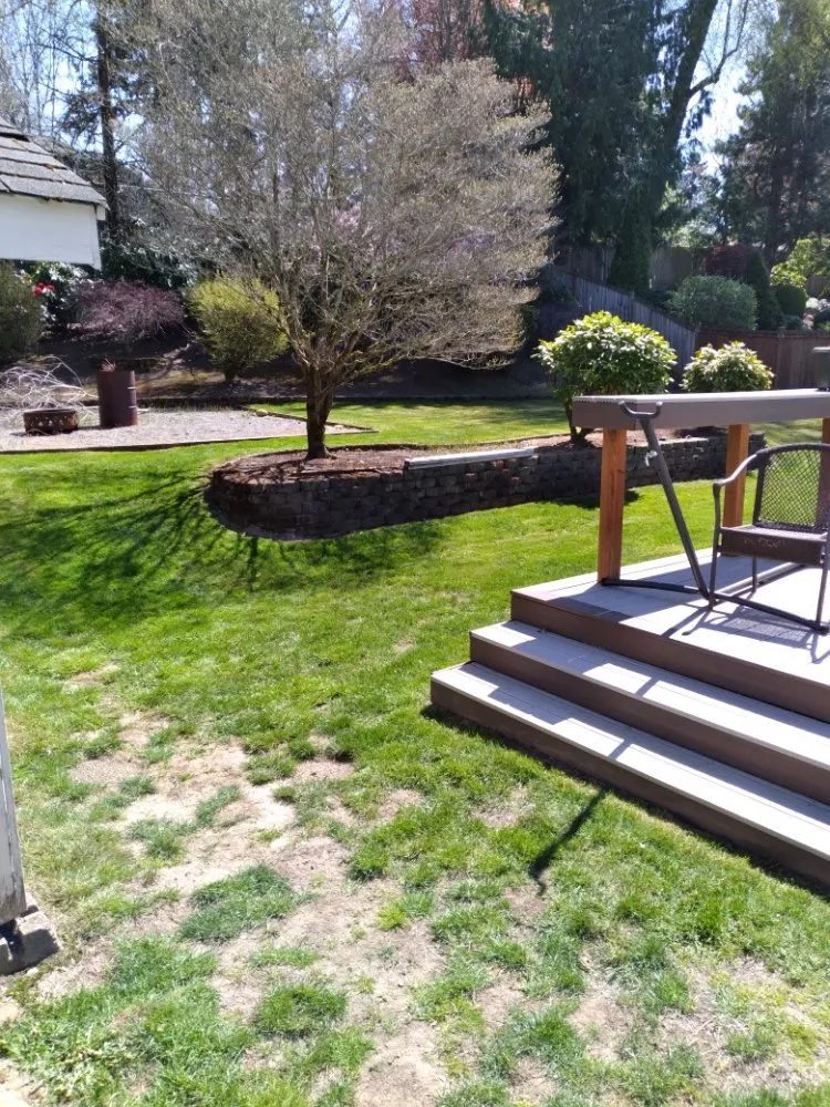 Professional lawn care service in Spanaway, WA - Troys Lawn & Maintence