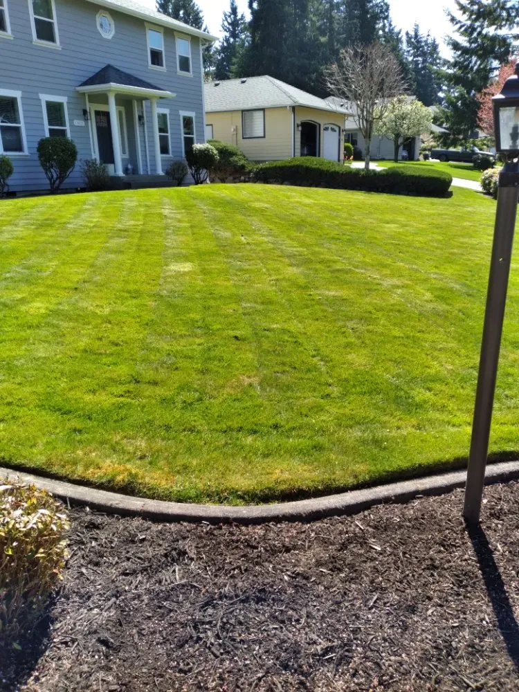 Expert yard maintenance for beautiful yards in Spanaway, WA by Troys Lawn & Maintence