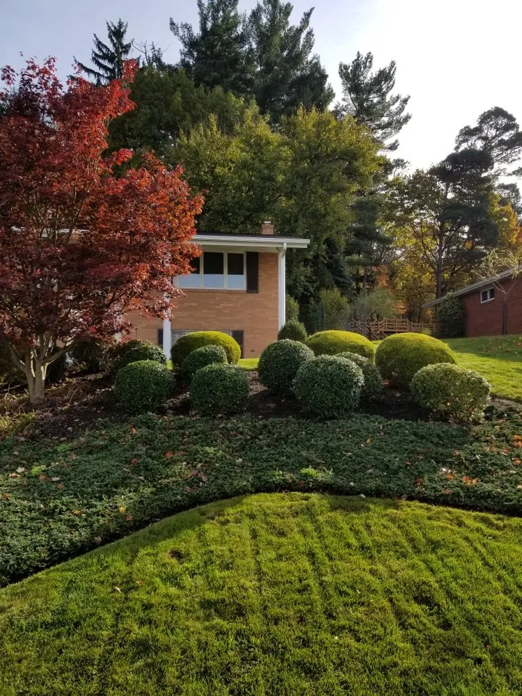 Trusted yard cleanup service experts serving Pittsburgh, PA - Trpcic Landscaping & Home Improvements