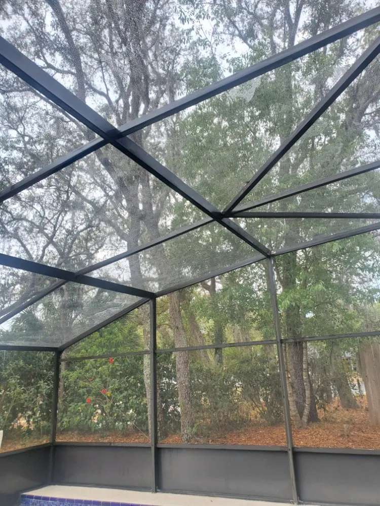 Local yard cleanup service experts serving Casselberry, FL - T&RS Lawn Care