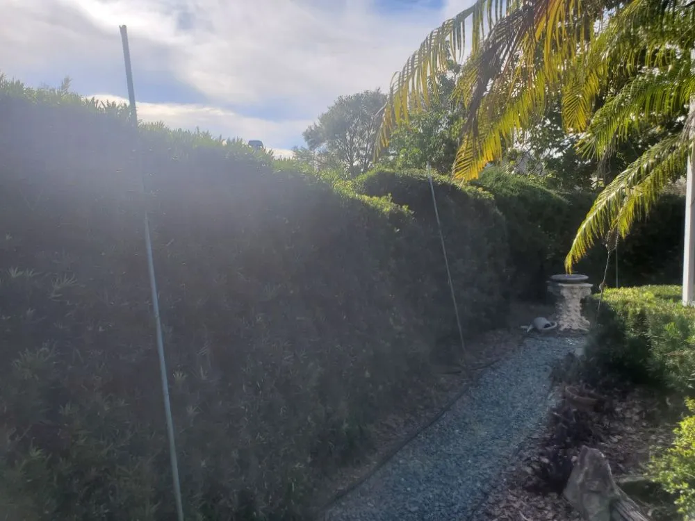 Local residential landscaping near you in Casselberry, FL by T&RS Lawn Care