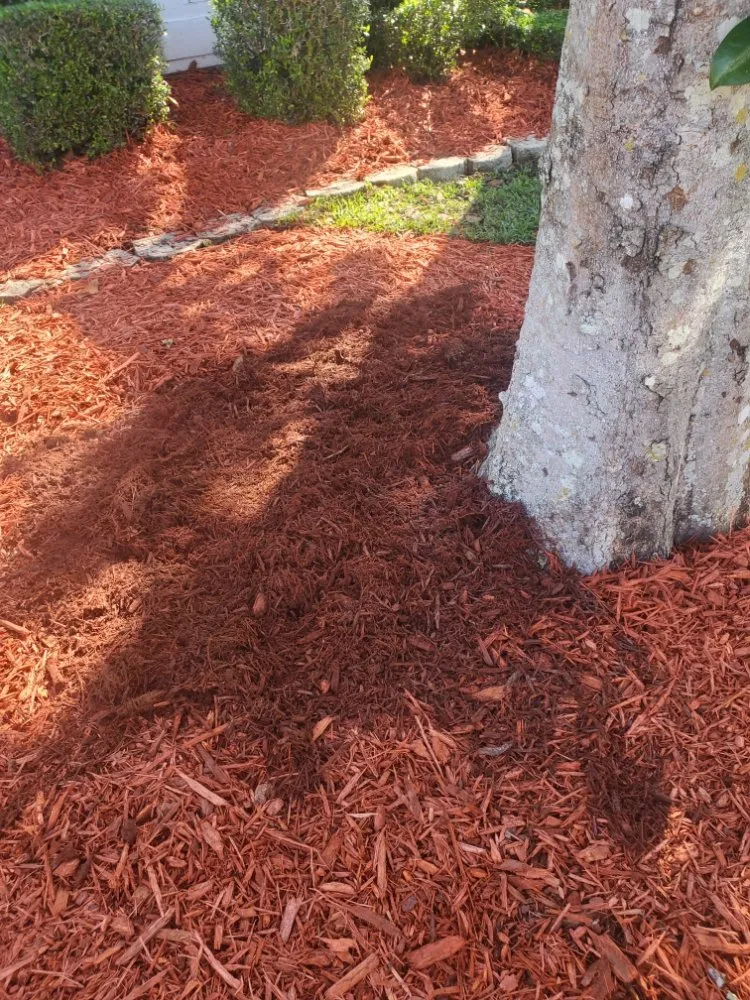 Reliable landscaping services in Casselberry, FL - T&RS Lawn Care