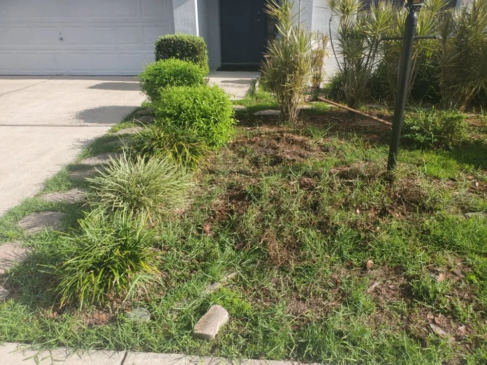 Professional lawn care service with custom design across Casselberry, FL - T&RS Lawn Care
