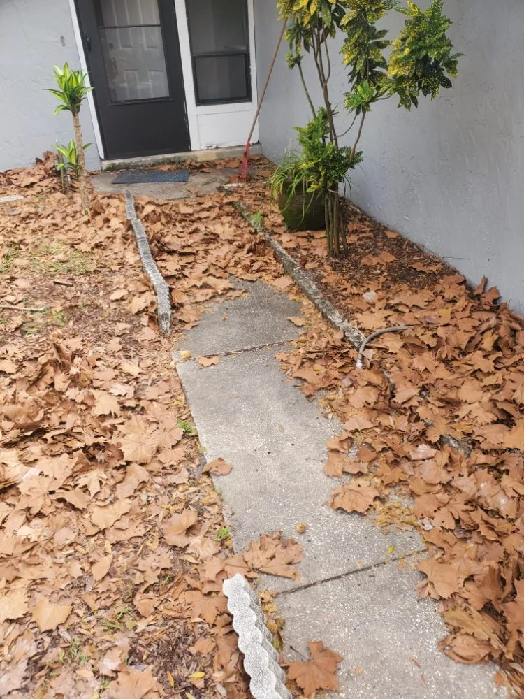 Top-rated landscaping services for homes in Casselberry, FL by T&RS Lawn Care