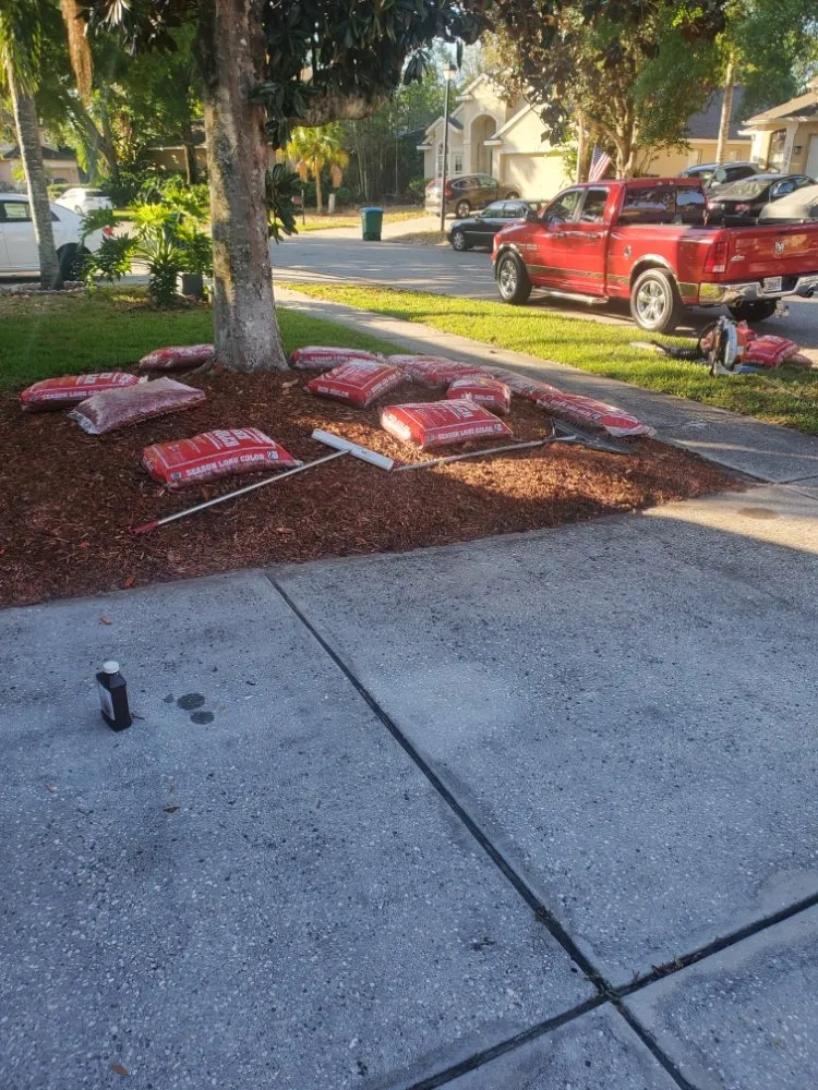 Reliable landscaping services experts serving Casselberry, FL - T&RS Lawn Care