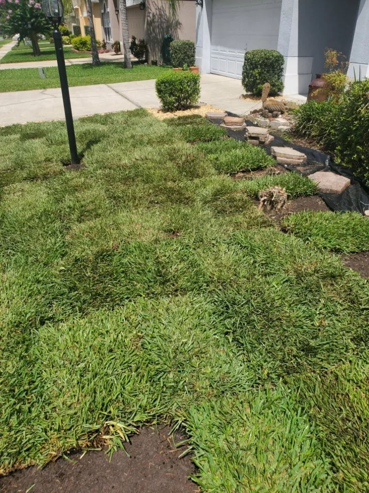 Top-rated landscape installation experts serving Casselberry, FL - T&RS Lawn Care