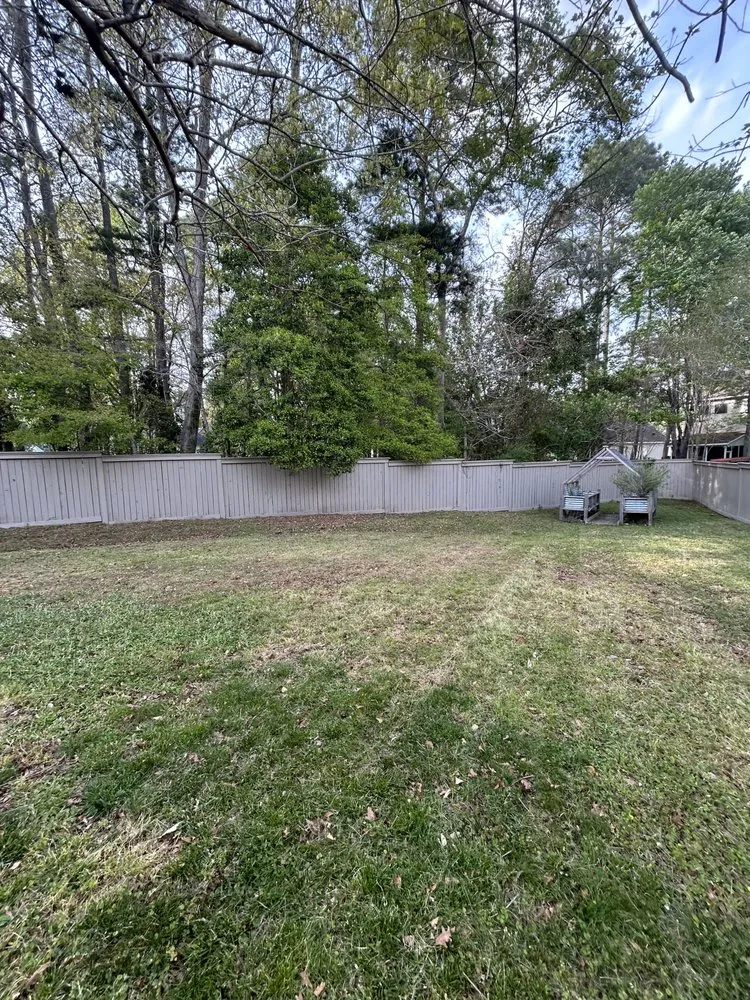 Custom lawn care service experts serving Summerville, SC - TRS Lawn Care