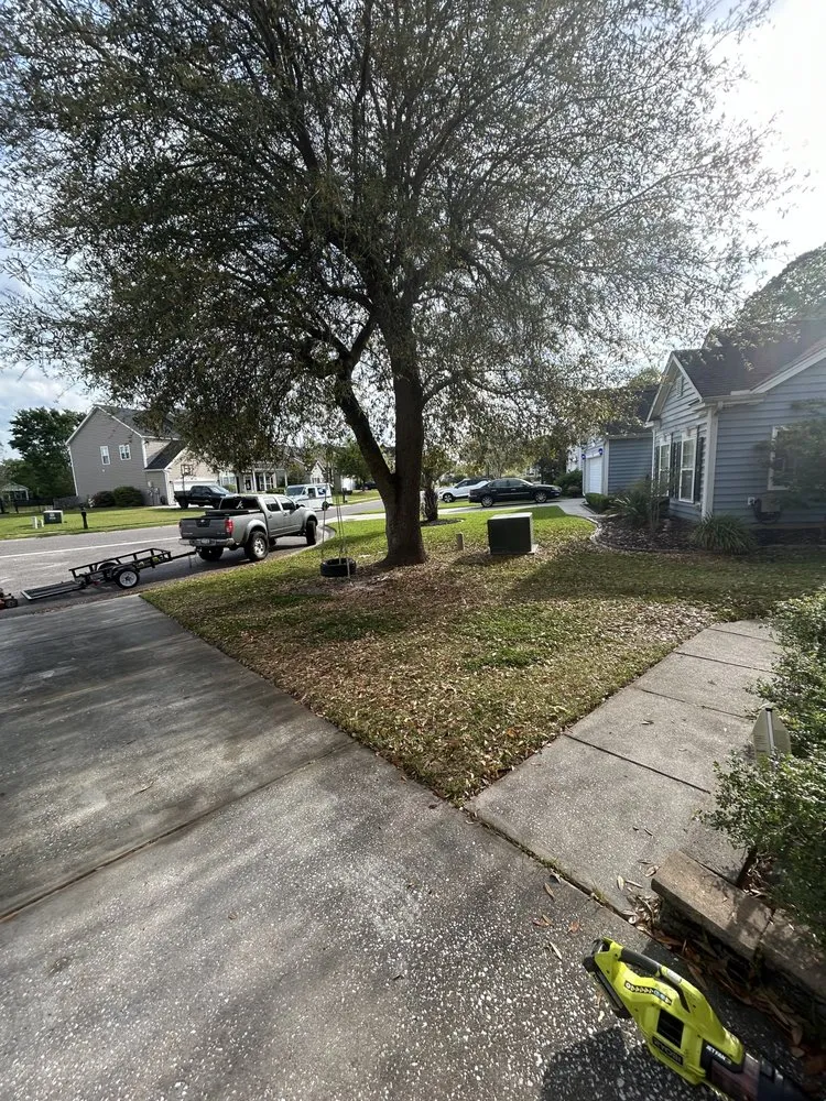 Top-rated landscape design experts serving Summerville, SC - TRS Lawn Care