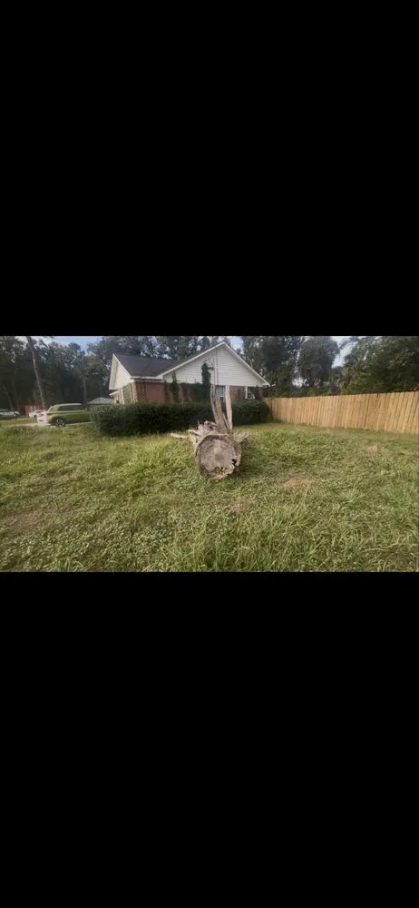 Reliable residential landscaping near you in Tallahassee, FL by TRT Lawn Service