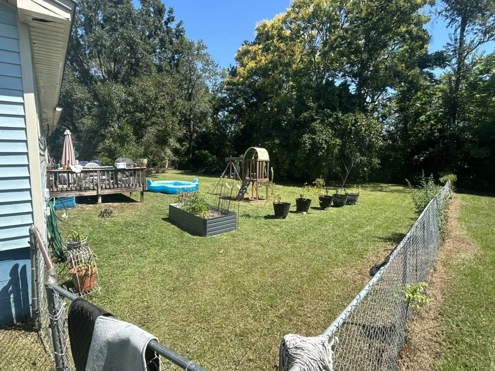 Trusted yard cleanup service experts serving Tallahassee, FL - TRT Lawn Service