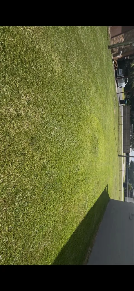 Local outdoor landscaping near you in Tallahassee, FL by TRT Lawn Service