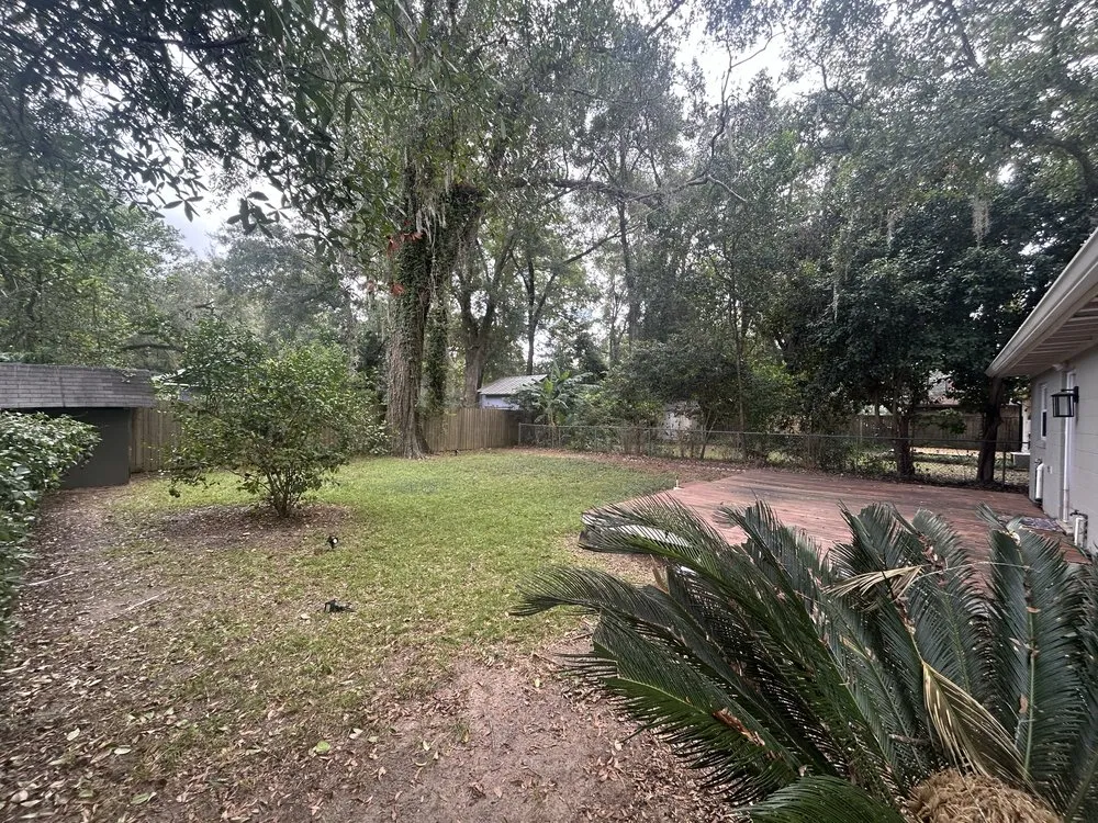 Professional lawn mowing service in Tallahassee, FL by TRT Lawn Service