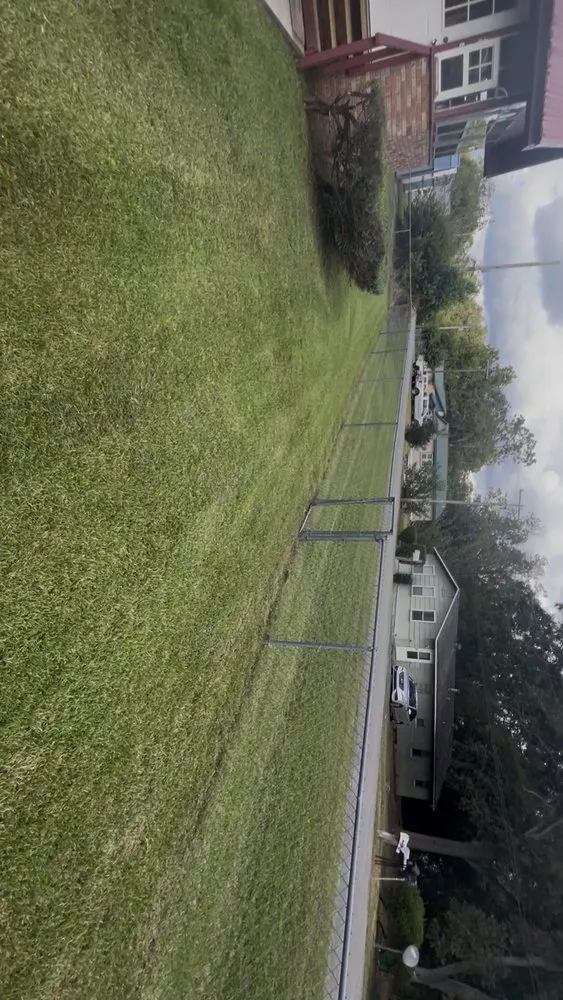 Custom yard cleanup service experts serving Tallahassee, FL - TRT Lawn Service