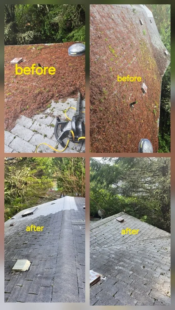 Top-rated outdoor landscaping in Otis, OR by Tru Cleaning & More