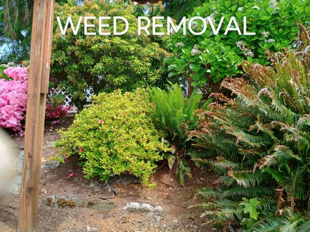 Trusted landscape installation experts serving Otis, OR - Tru Cleaning & More