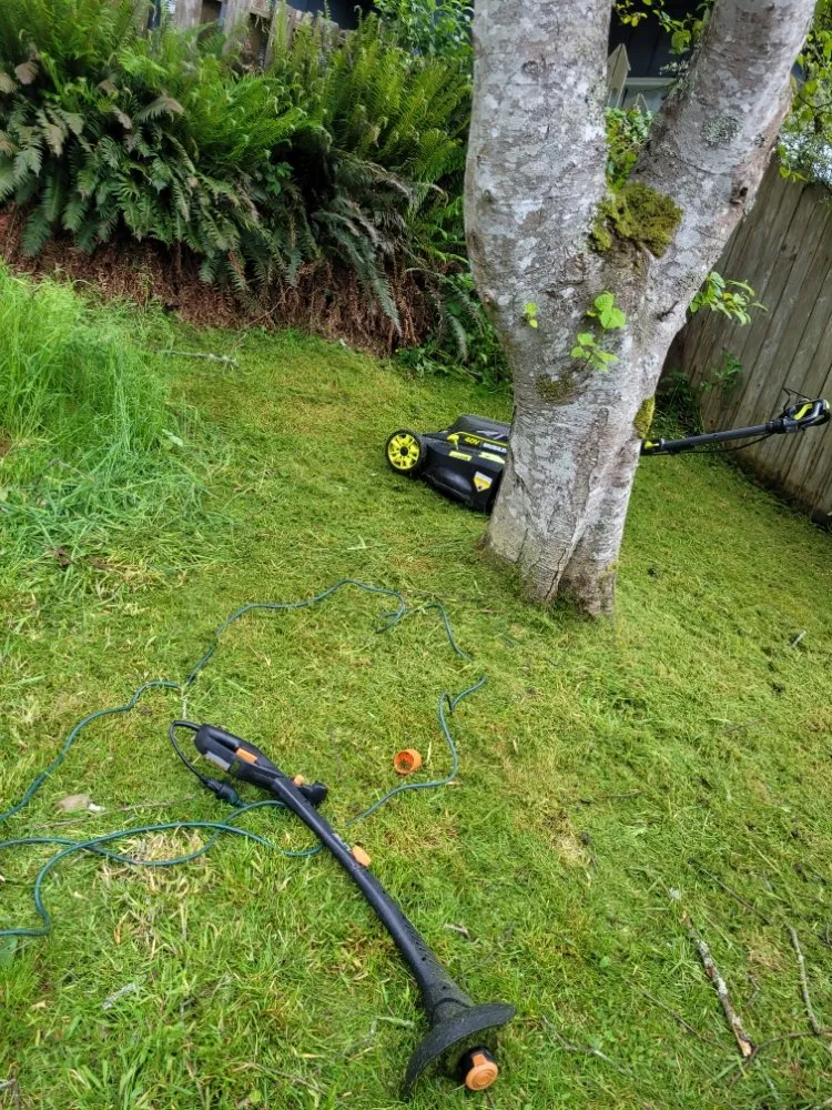 Trusted lawn care service with custom design across Otis, OR - Tru Cleaning & More