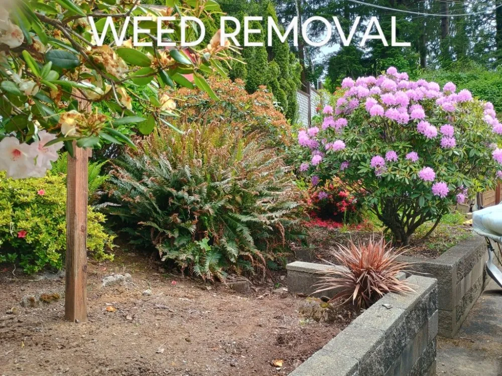 Custom yard maintenance in Otis, OR - Tru Cleaning & More