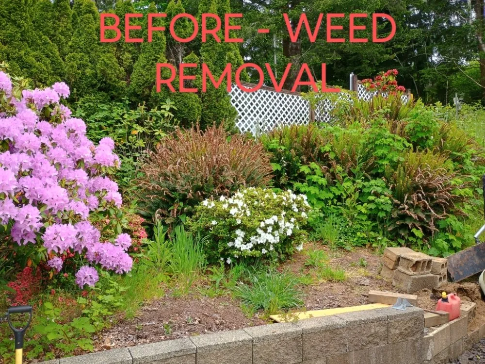 Expert yard cleanup service for residential properties across Otis, OR - Tru Cleaning & More