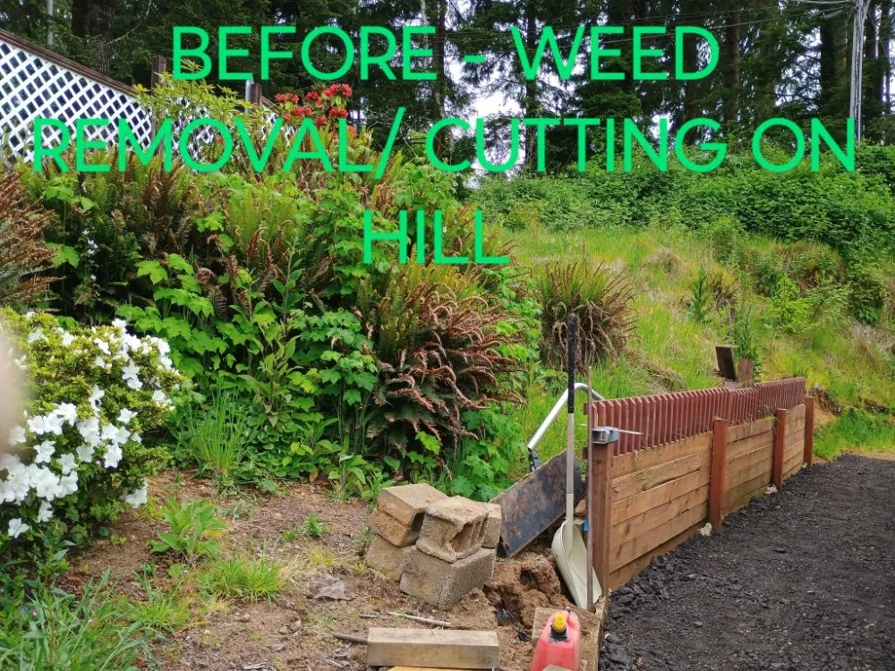 Local yard maintenance experts serving Otis, OR - Tru Cleaning & More