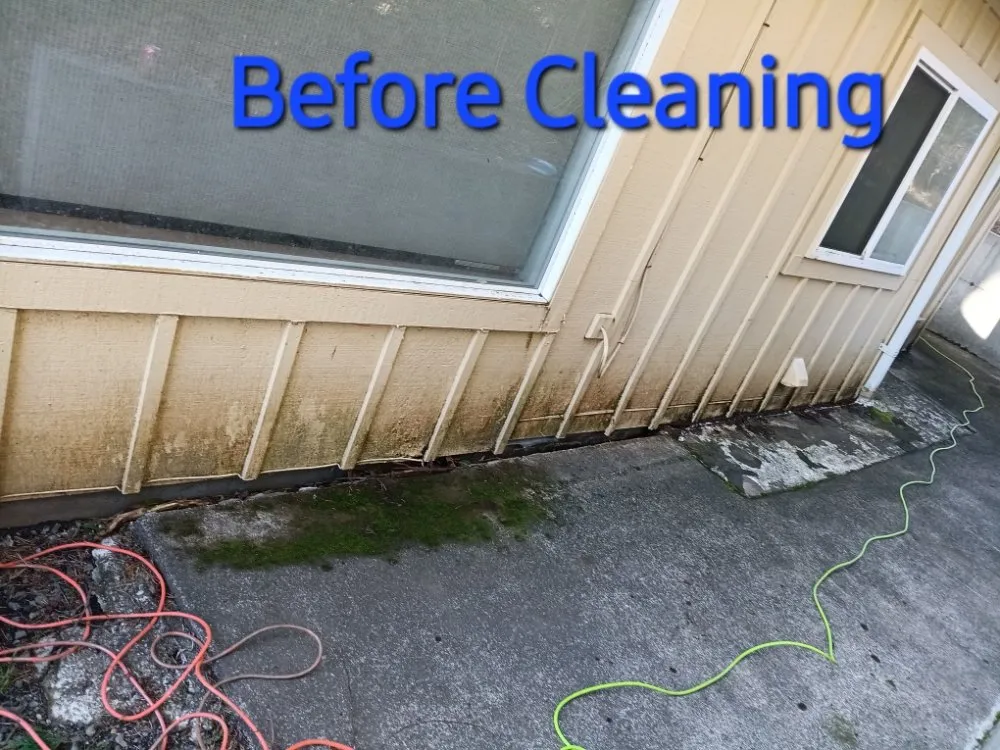 Local outdoor landscaping for beautiful yards across Otis, OR - Tru Cleaning & More