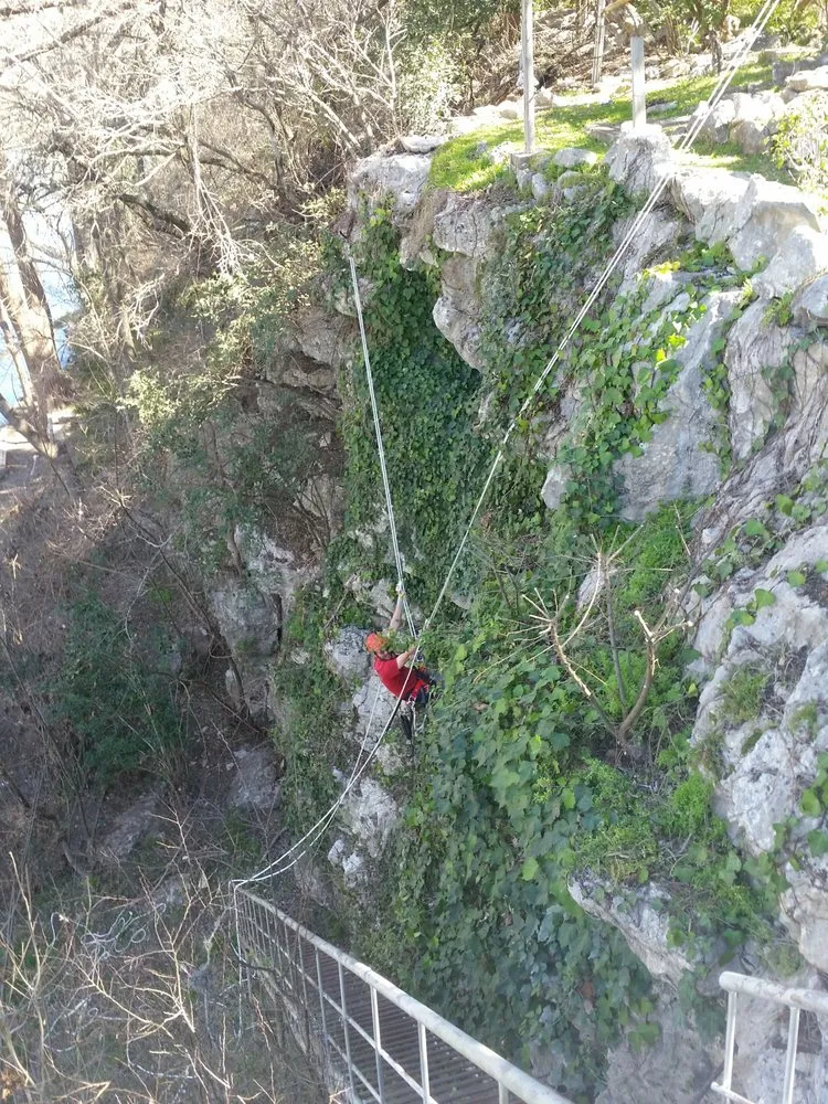 Top-rated yard maintenance in Bulverde, TX by Tru Cut Landscapes