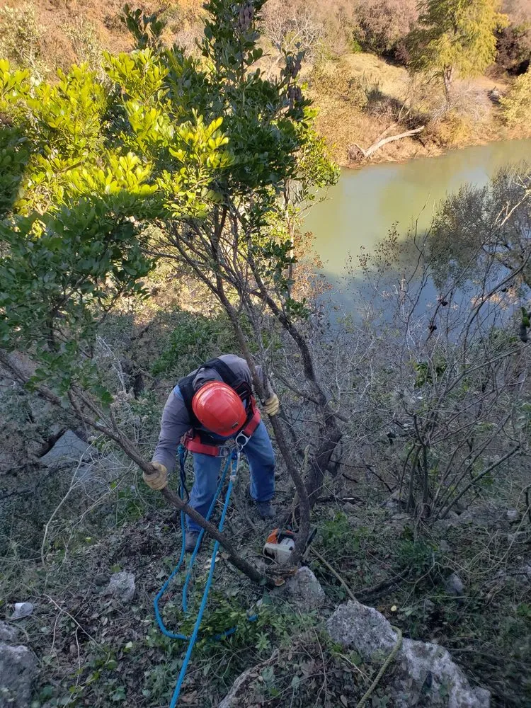Custom outdoor landscaping for outdoor upgrades in Bulverde, TX by Tru Cut Landscapes