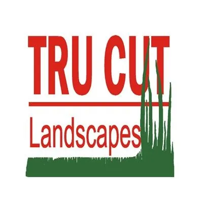Custom outdoor landscaping for year-round maintenance in Bulverde, TX by Tru Cut Landscapes