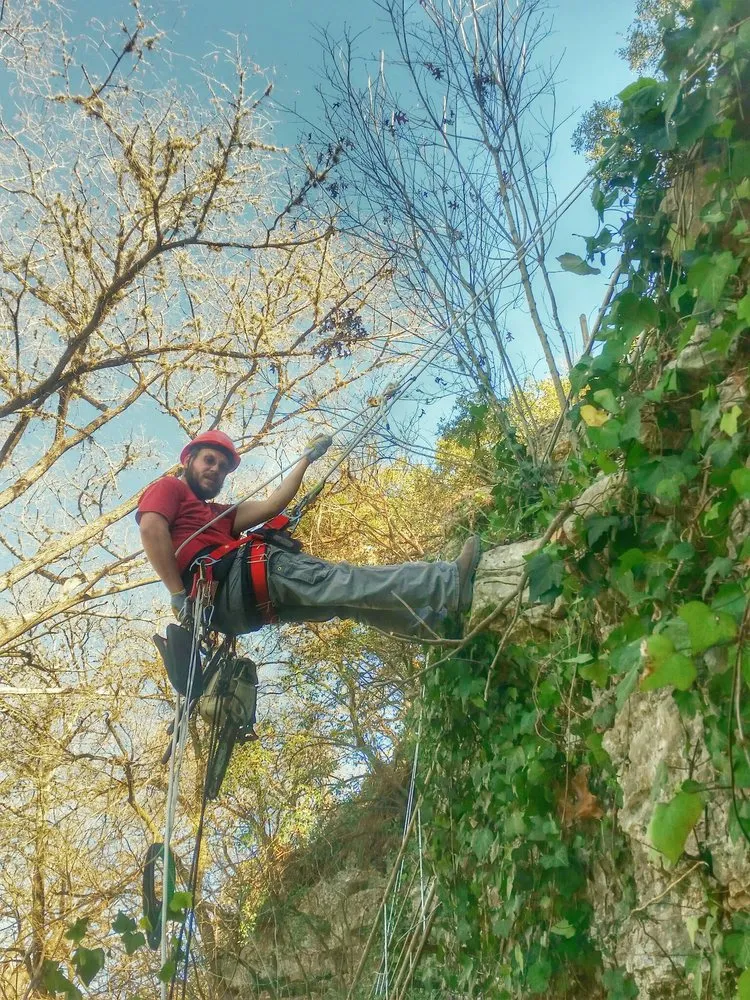 Professional landscape design in Bulverde, TX by Tru Cut Landscapes