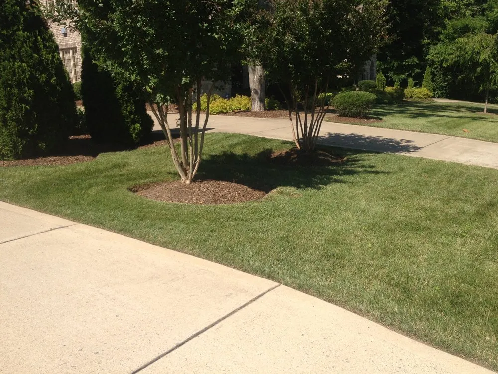 Professional outdoor landscaping in Nashville, TN - Tru Cut Lawn & Landscaping