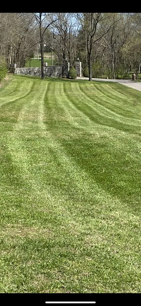 Expert yard cleanup service in Nashville, TN by Tru Cut Lawn & Landscaping