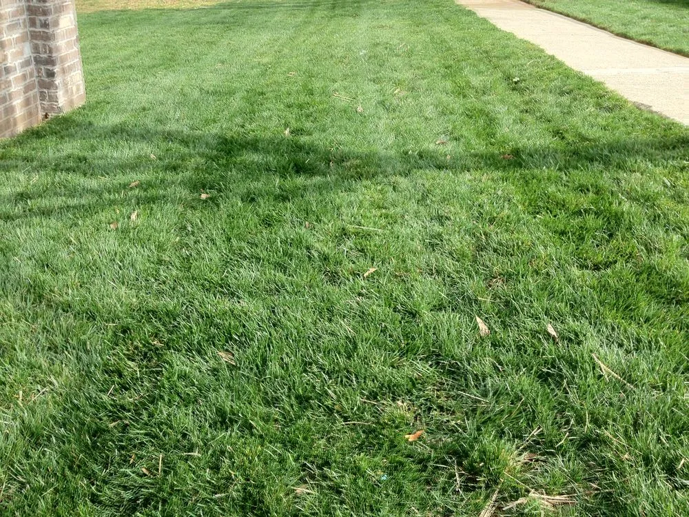 Top-rated residential landscaping for beautiful yards across Nashville, TN - Tru Cut Lawn & Landscaping