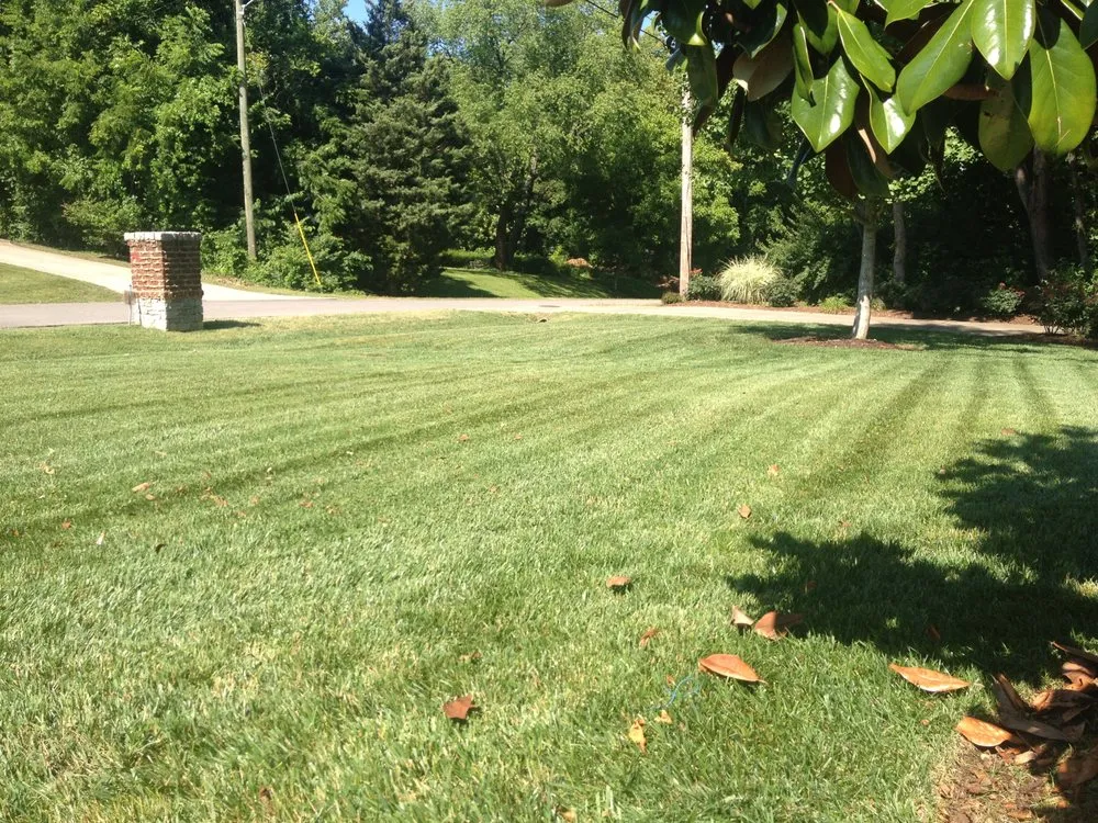 Trusted yard cleanup service near you in Nashville, TN by Tru Cut Lawn & Landscaping
