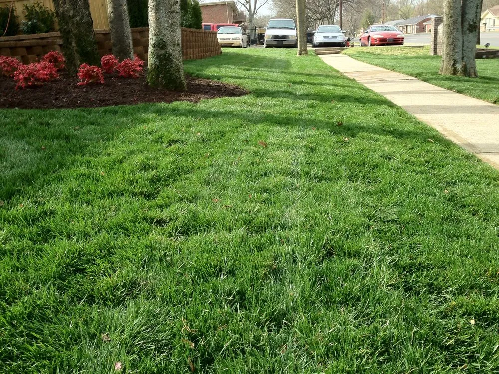 Local landscaping services experts serving Nashville, TN - Tru Cut Lawn & Landscaping