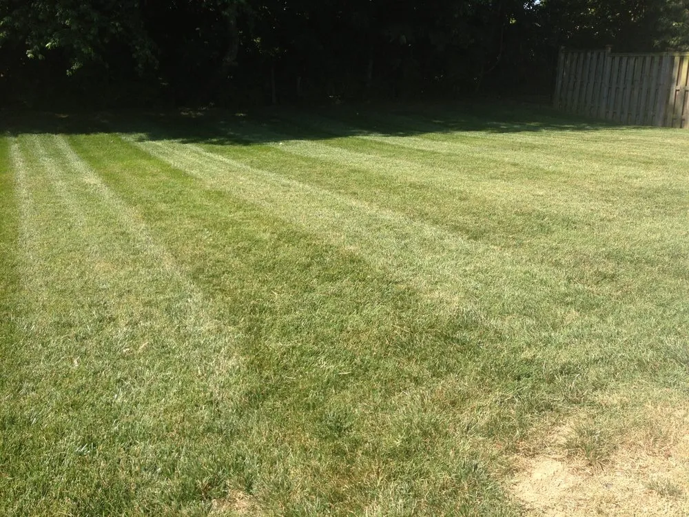 Expert lawn care service for year-round maintenance in Nashville, TN by Tru Cut Lawn & Landscaping