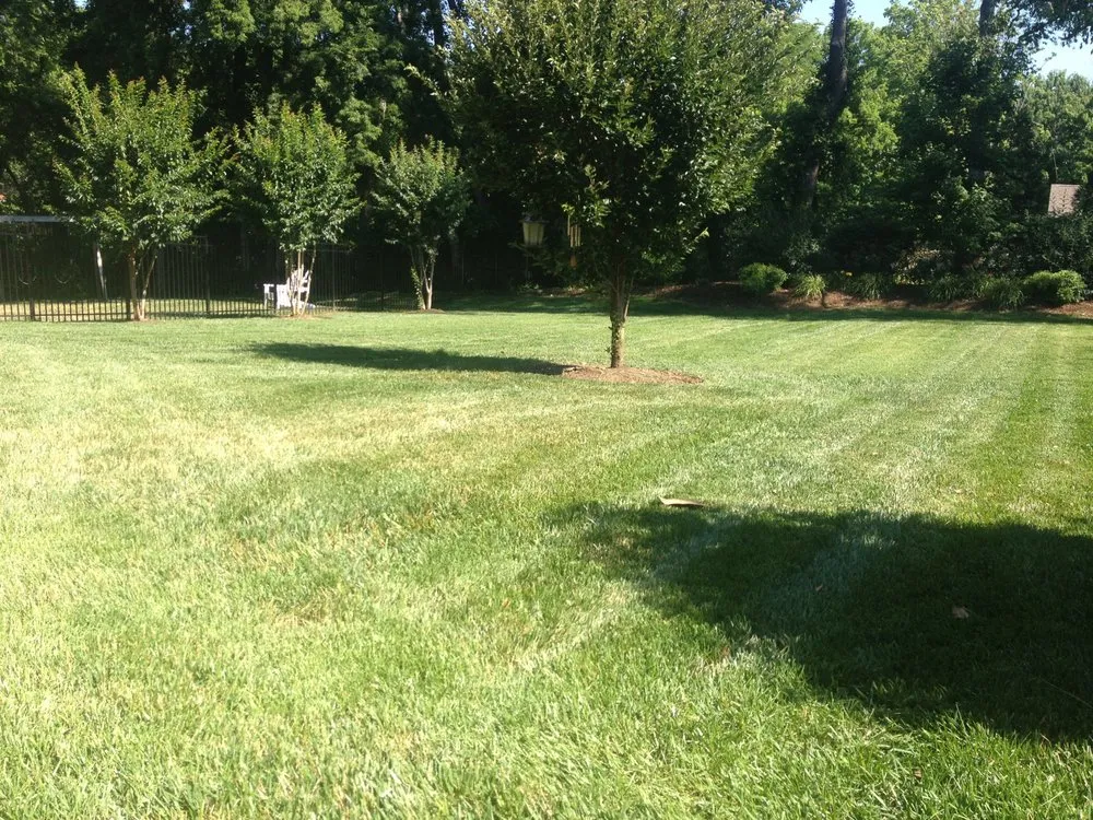 Custom lawn mowing service in Nashville, TN - Tru Cut Lawn & Landscaping