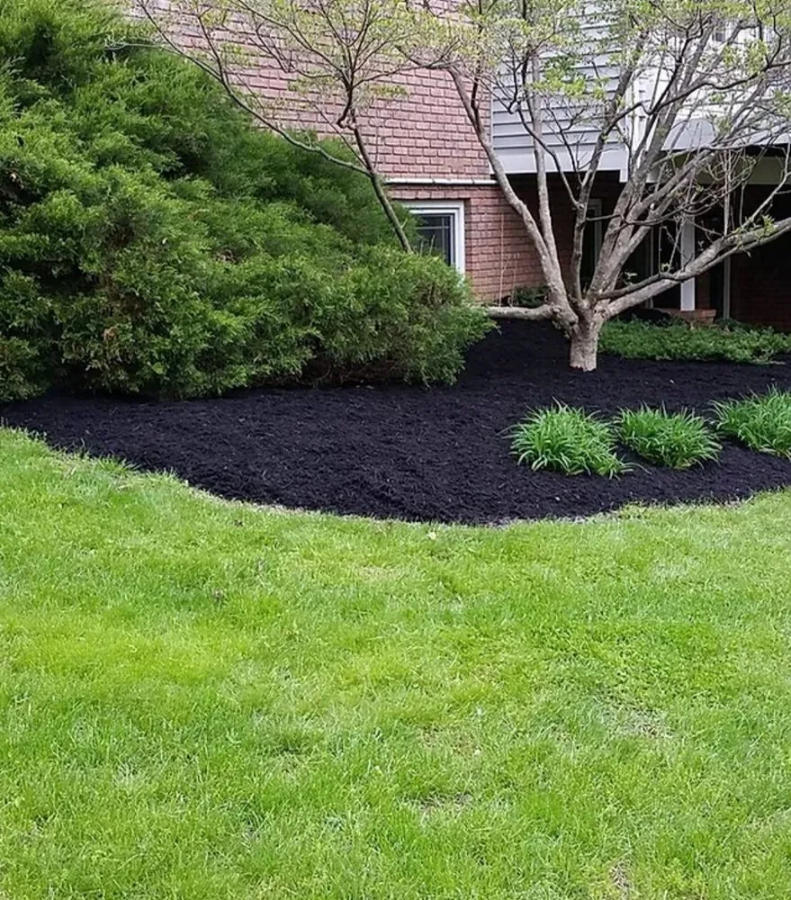 Trusted landscaping services experts serving Baker, FL - Tru-Cut Lawncare