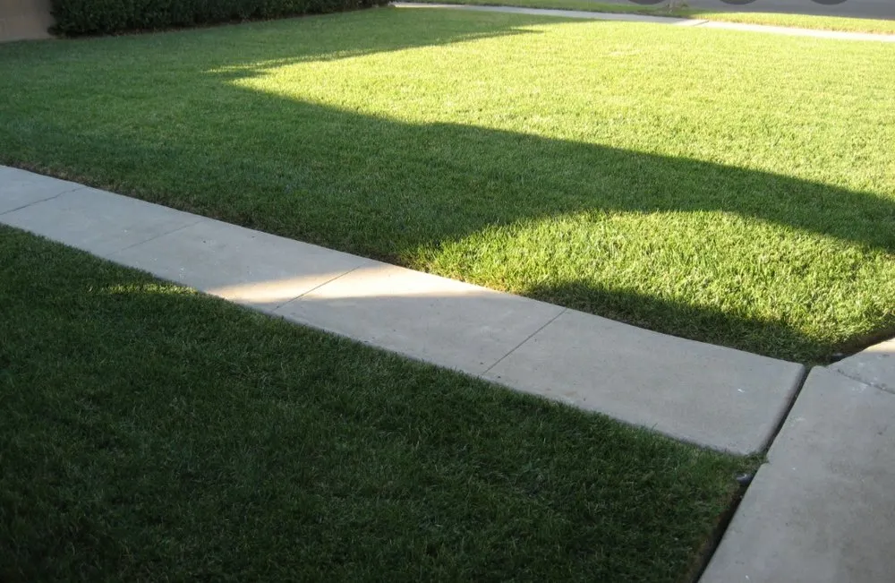 Top-rated outdoor landscaping in Baker, FL - Tru-Cut Lawncare