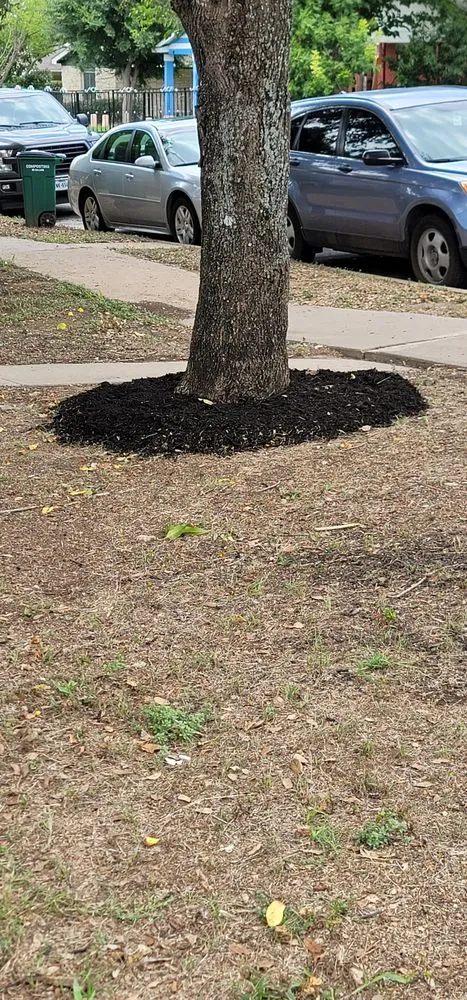 Professional landscaping services for homes across Pflugerville, TX - Tru Cuts Landscaping plus