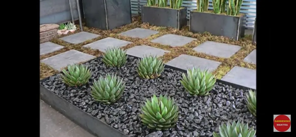 Local landscaping services in Pflugerville, TX - Tru Cuts Landscaping plus