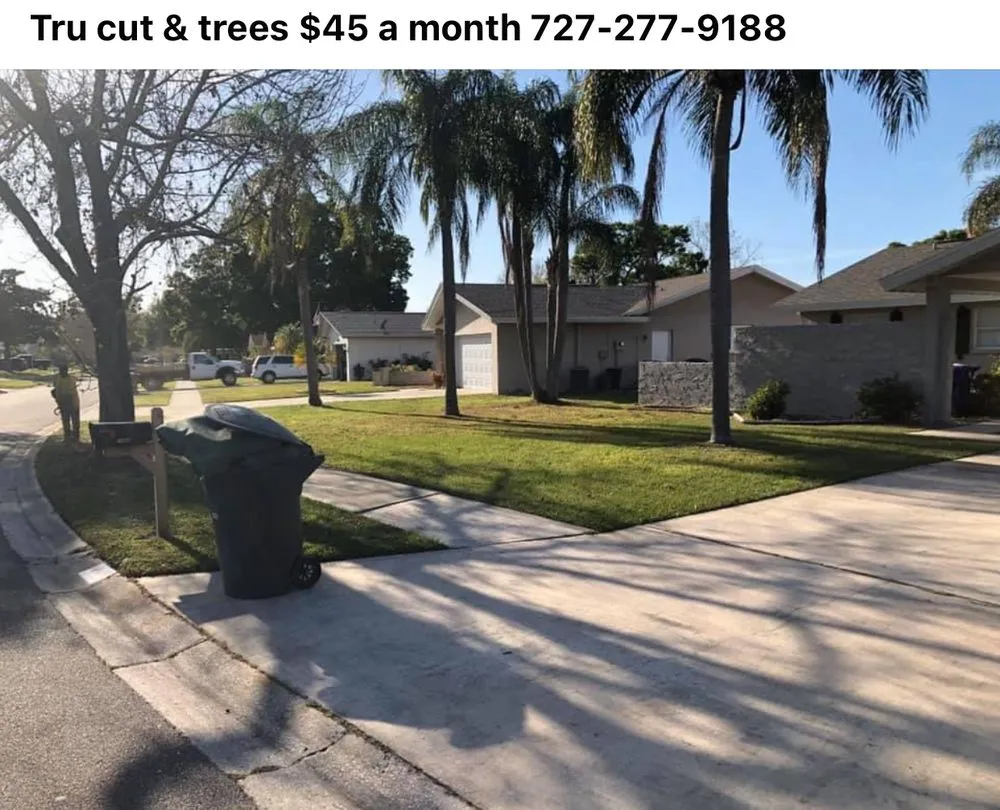 Professional yard maintenance in New Port Richey, FL - Tru Cutting Lawn Care and Trees