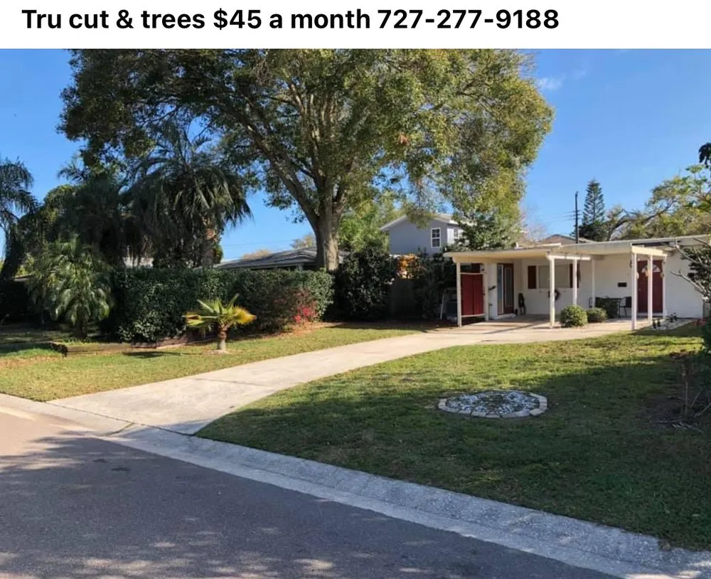 Affordable garden landscaping in New Port Richey, FL - Tru Cutting Lawn Care and Trees